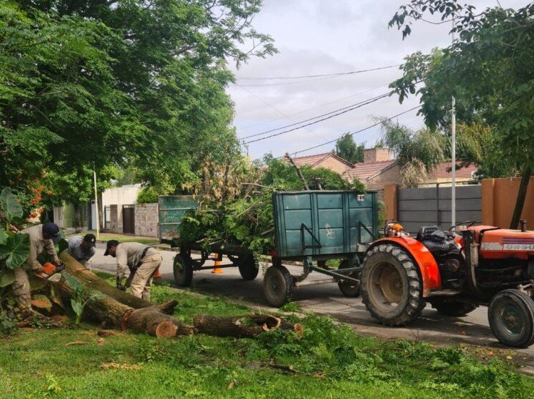Tras la tormenta la Municipalidad de Marcos Juárez y otros municipios iimplementaron operativoso de limpieza